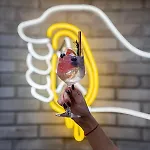 Boutique Possonium Lejlighed